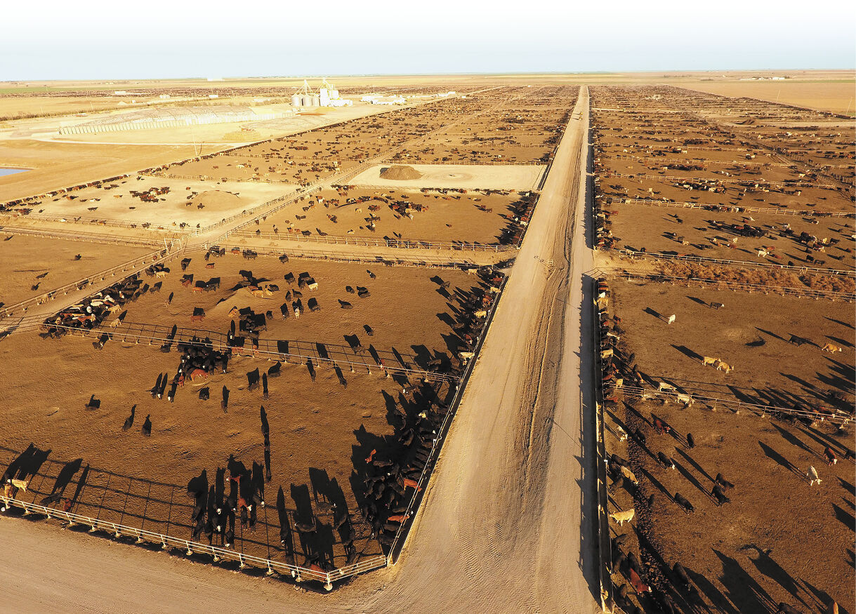 p6.jpg